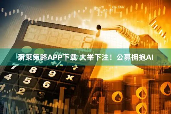 蔚莱策略APP下载 大举下注！公募拥抱AI