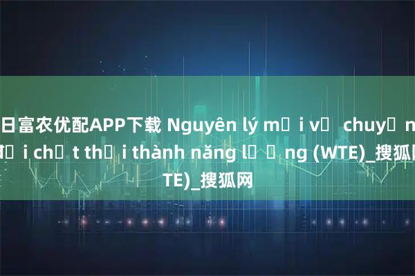 日富农优配APP下载 Nguyên lý mới về chuyển đổi chất thải thành năng lượng (WTE)_搜狐网