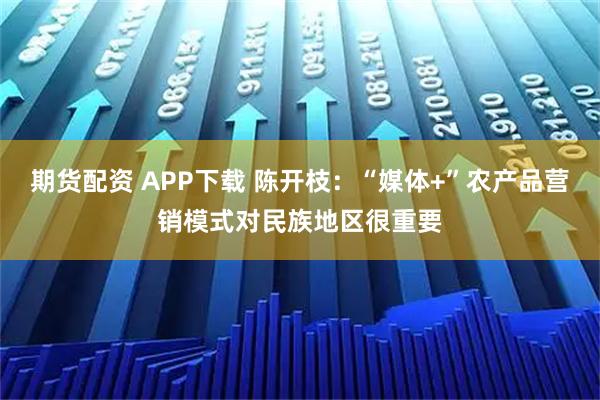 期货配资 APP下载 陈开枝：“媒体+”农产品营销模式对民族地区很重要
