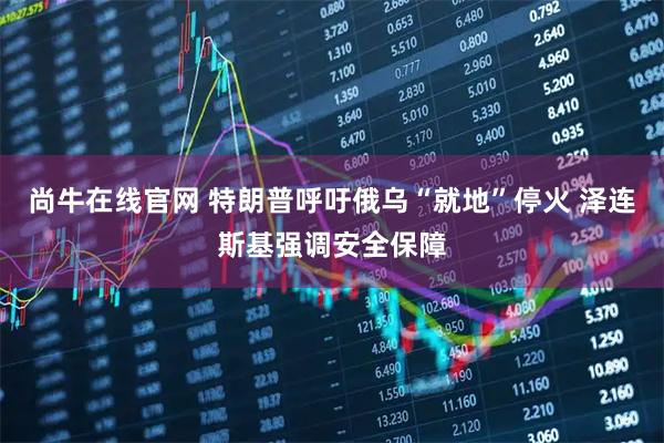 尚牛在线官网 特朗普呼吁俄乌“就地”停火 泽连斯基强调安全保障