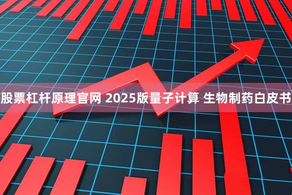 股票杠杆原理官网 2025版量子计算 生物制药白皮书