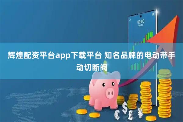 辉煌配资平台app下载平台 知名品牌的电动带手动切断阀